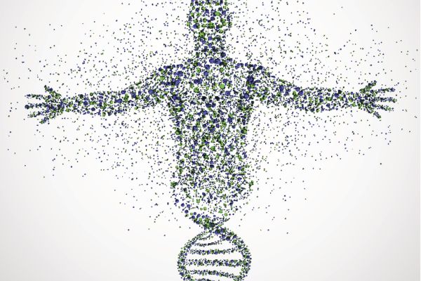 Human genetics