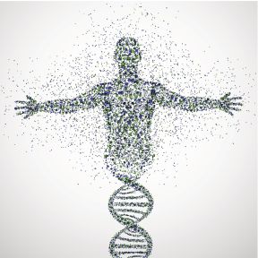 Human genetics