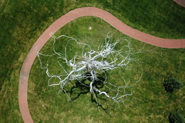 Neurons from Above