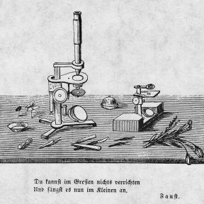 Illustration in Schleiden's 'The plant: a biography'